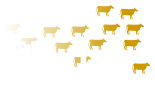 Flokk Logo